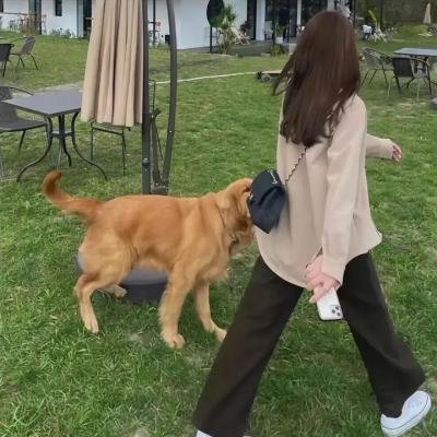 少年进化论
